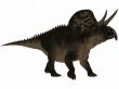 Zuniceratops