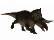 Zuniceratops