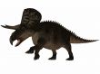 Zuniceratops
