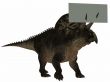 Zuniceratops