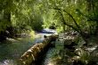 Mountain Stream