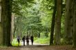 walking in the forest