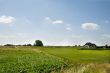 Dutch landscape