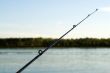 Casting Line
