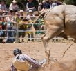 Rider Down