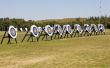 Archery Bulls-Eye Targets