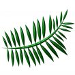 3D Fern