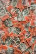 20 dollar bills