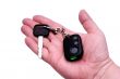 Car keys and remote control alarm system