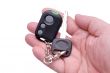 Car keys and remote control alarm system
