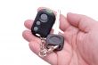 Car keys and remote control alarm system