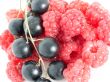 raspberry and currant