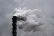 Smoking industrial pipe on gray sky