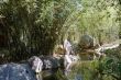 Water and Bamboo