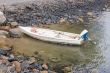 Moored Boat
