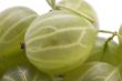 gooseberries close up