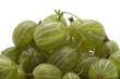 gooseberries macro