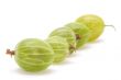 gooseberries
