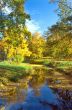 Brightness of autumn colors