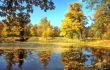 Autumn pond in the park