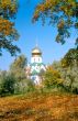 Cathedral and red autumn leaves
