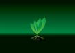 leaf background