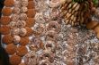 Bakery background with various sweet pastry