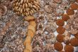 Bakery background with various sweet pastry