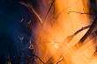 Burning fireplace