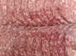 wurst background