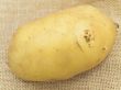 potato