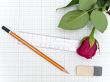 rose, ruler and eraser