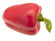 paprika