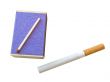 match and cigarette
