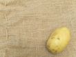 potato