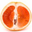 cut grapefruit