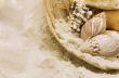 shells in the basket