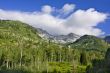 Mountain Spring
