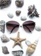 solar glasses and seashells