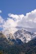 Caucasus