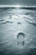 footprint