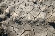 Cracked earth