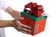 The gift