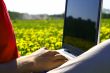 laptop nature work