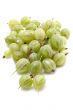Fresh gooseberry closeup