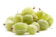 Fresh gooseberry