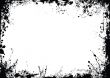 rough border