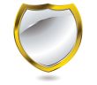 silver shield