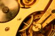 golden gear