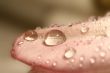 waterdrop